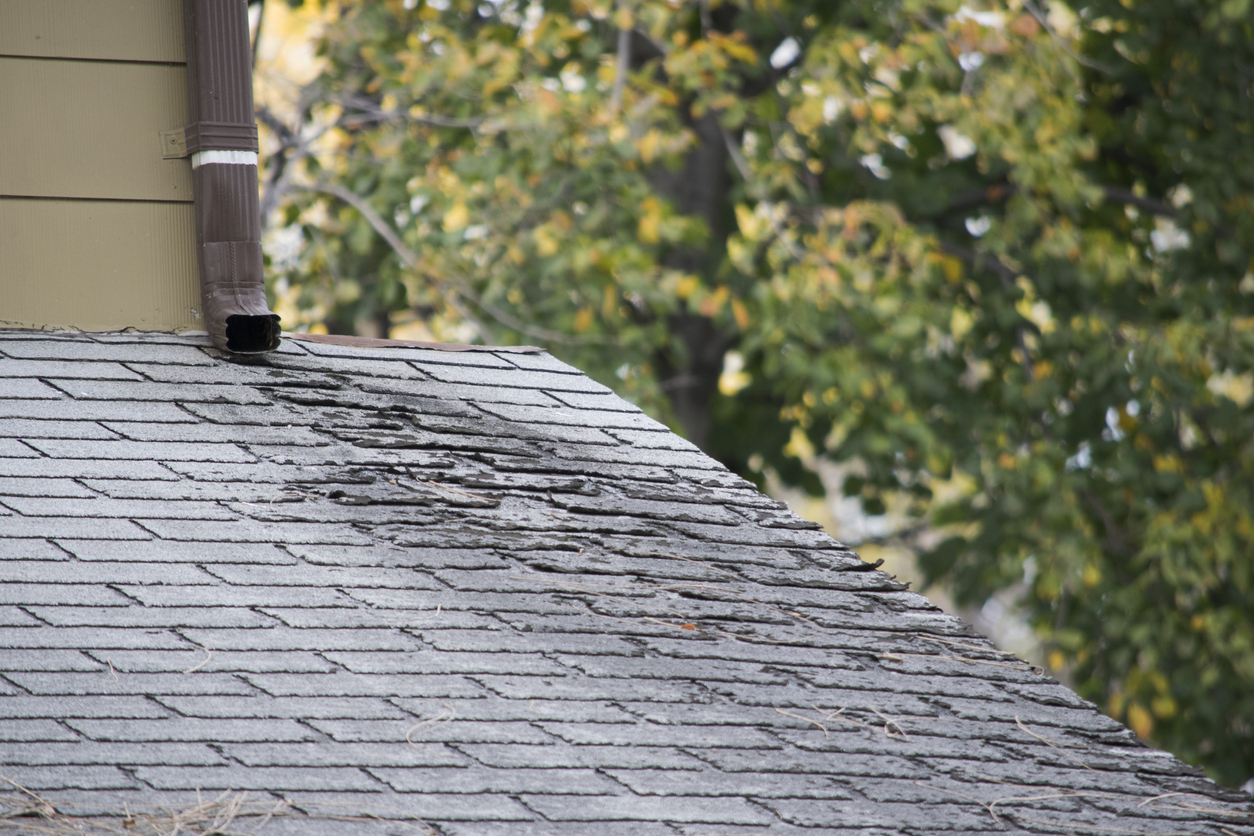 Is It Time to Repair Your Roof? Know the Warning Signs